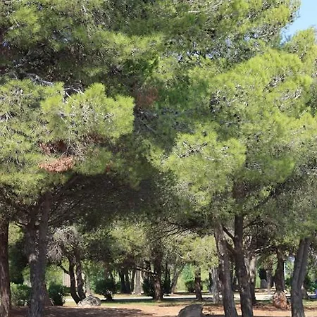 Casa Mireia I Paula ريومار